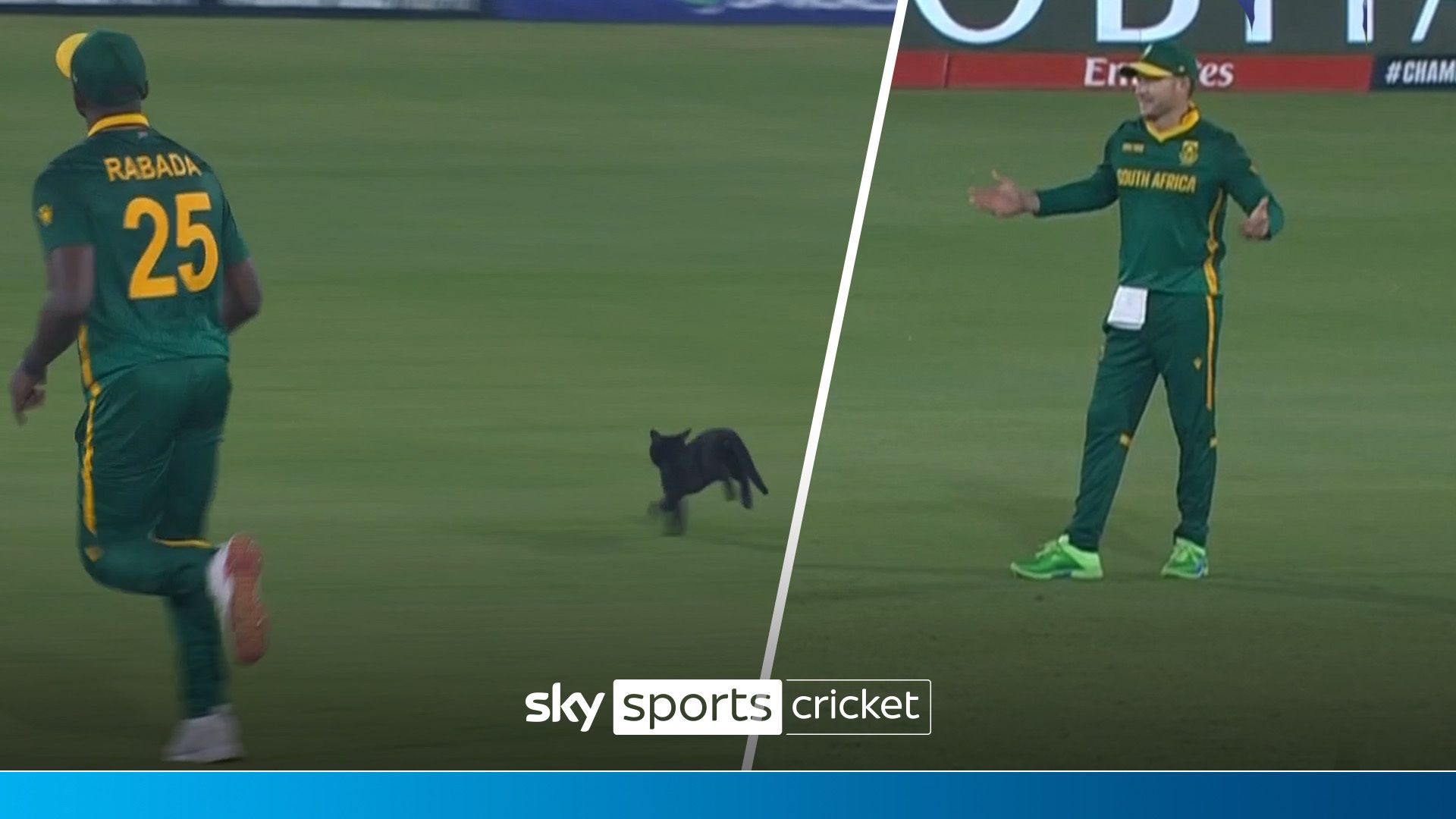 Afghanistan vs South Africa: Kagiso Rabada chases cat off pitch at ICC Champions Trophy!