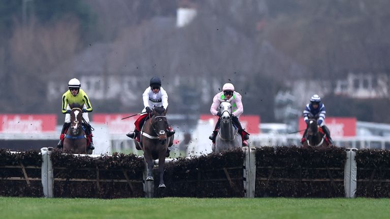 Constitution Hill: Nicky Henderson's Champion Hurdle favourite passes pre-Festival gallop in style