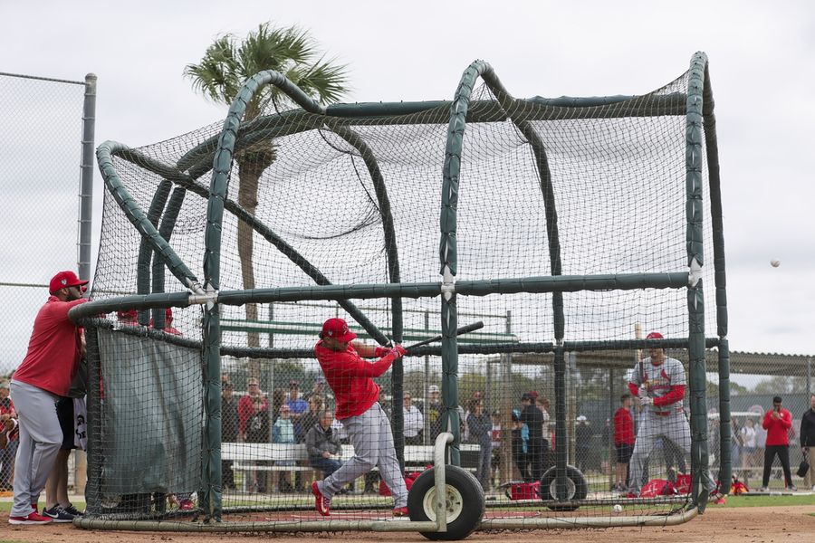 Deadspin | Cardinals' muscled-up Willson Contreras swinging for fences