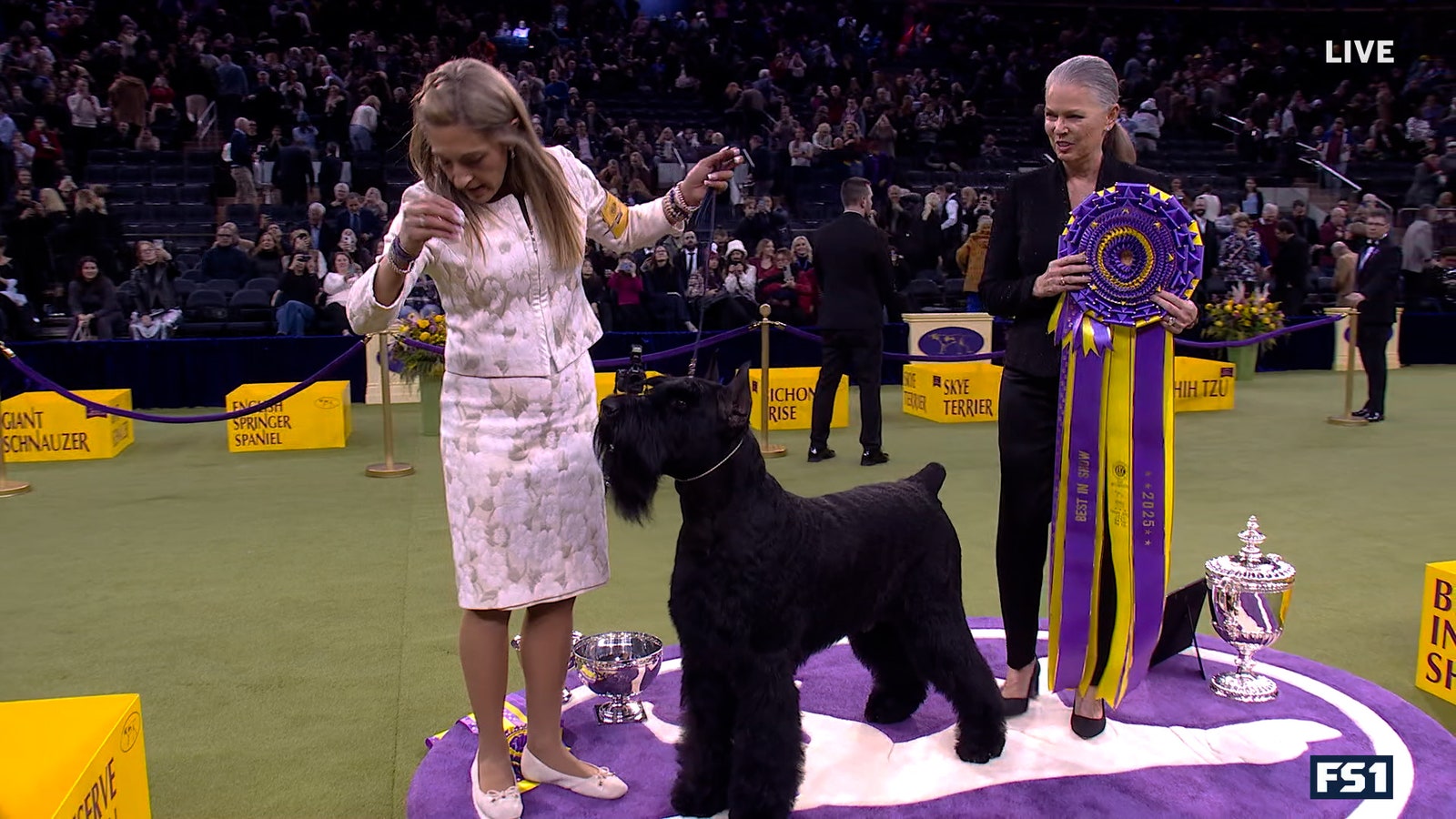 Monty the Giant Schnauzer wins Best in Show, makes history at 2025 Westminster Kennel Club