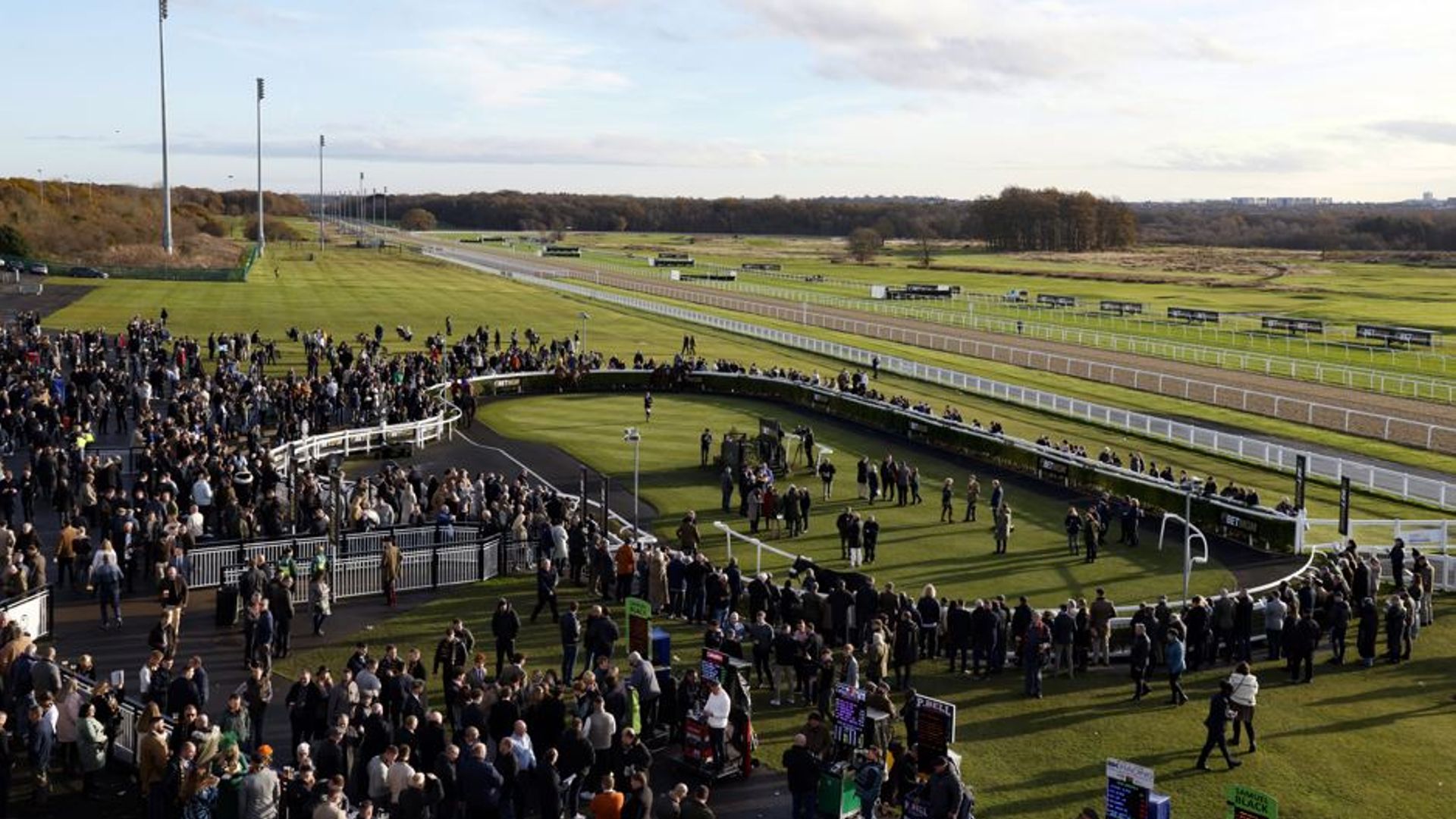 Today on Sky Sports Racing: All-weather action from Newcastle follows Lingfield's jumps card