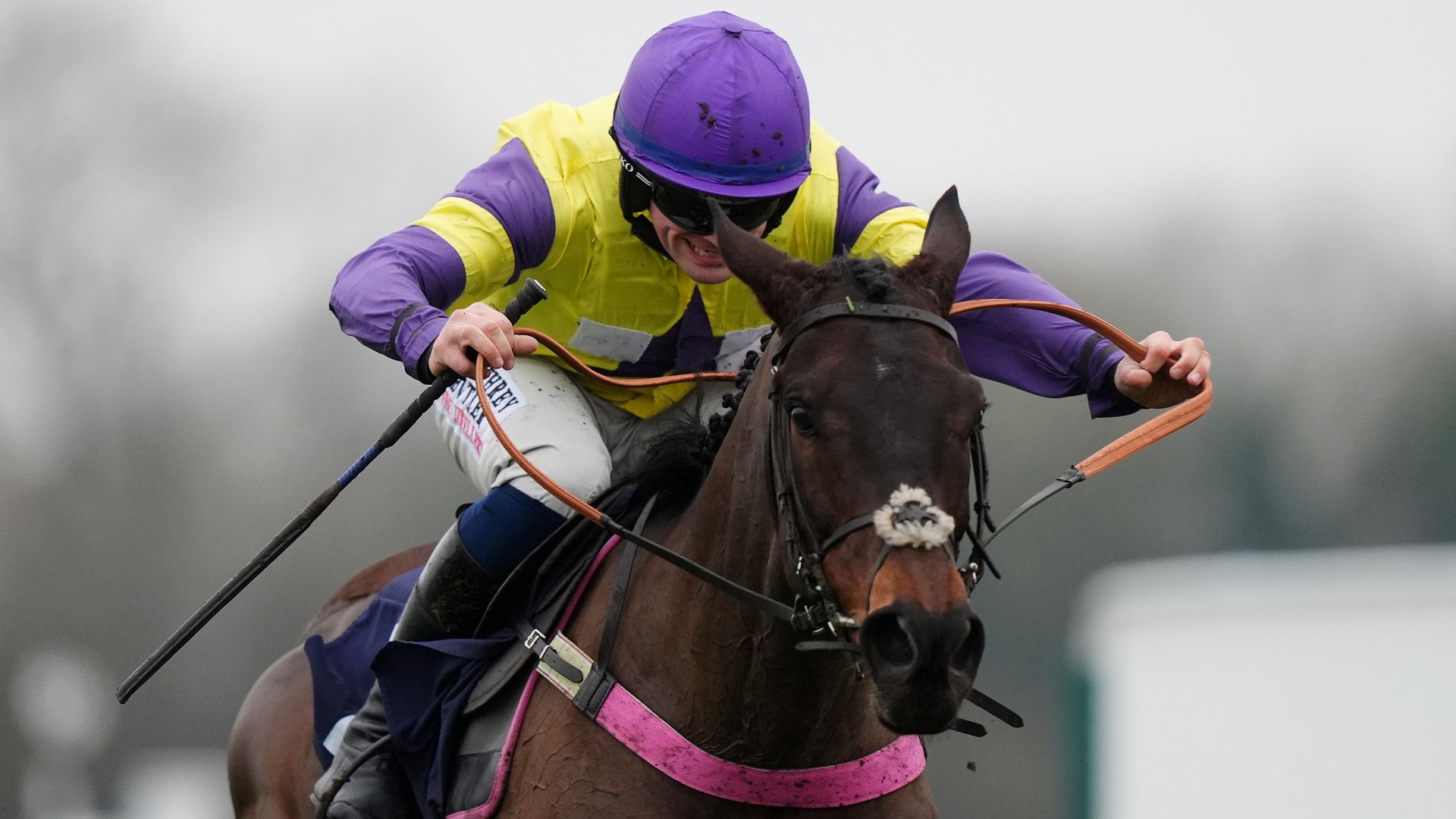 Today on Sky Sports Racing: Nemean Lion and Blueking d'Oroux headline National Spirit Hurdle at Fontwell on Sunday