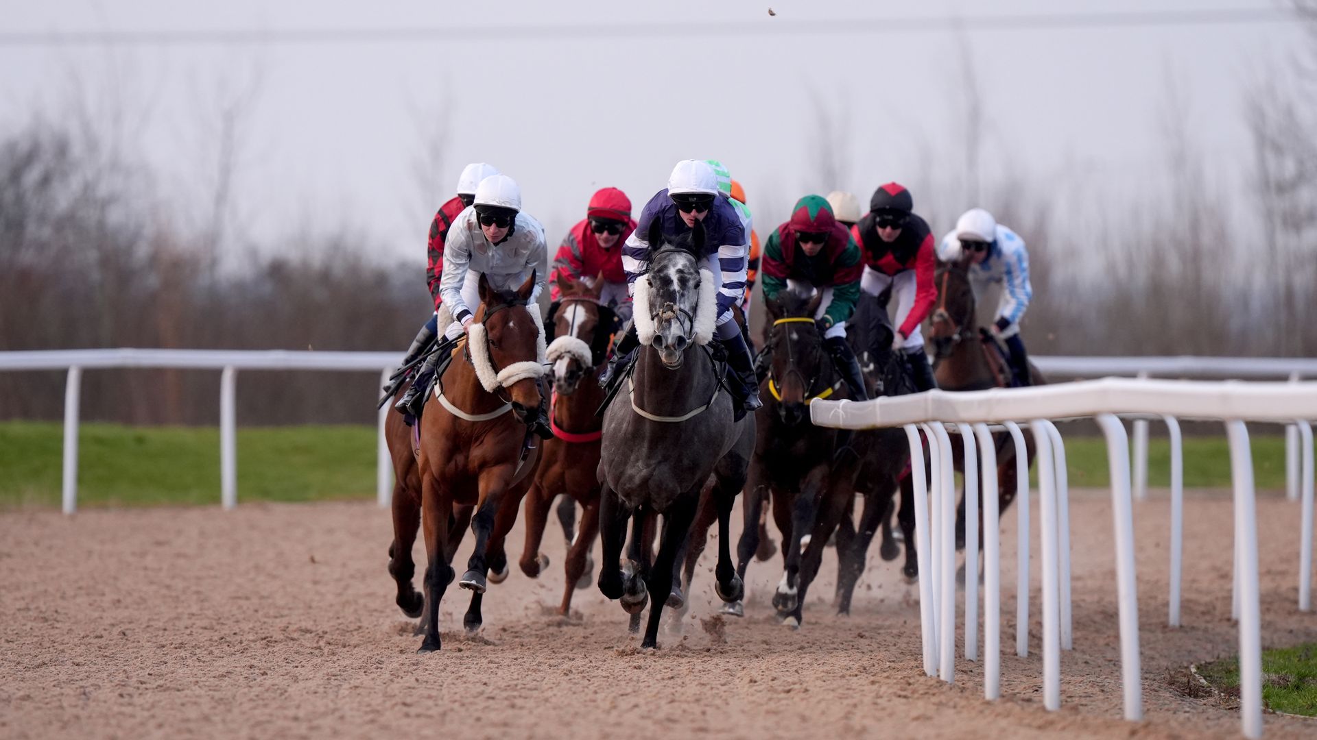 Today on Sky Sports Racing: Southwell hosts nine-race all-weather card