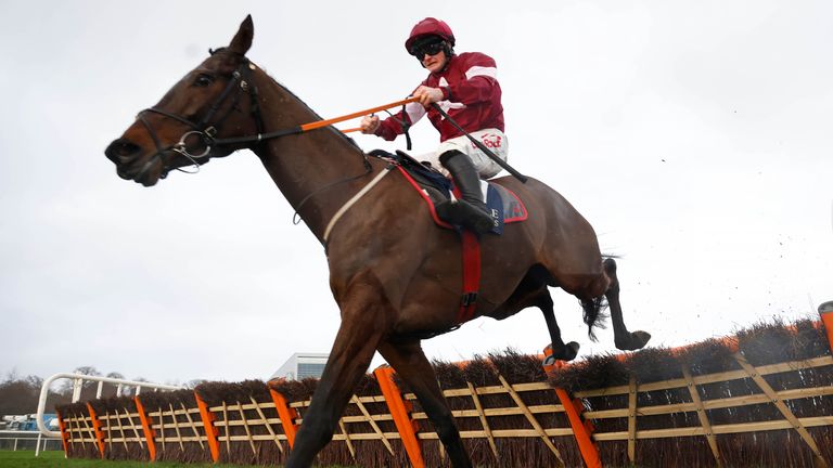 Cheltenham Festival: Brighterdaysahead heading over fences next season after Champion Hurdle disappointment