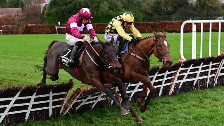 Cheltenham target decided: Brighterdaysahead confirmed for Champion Hurdle