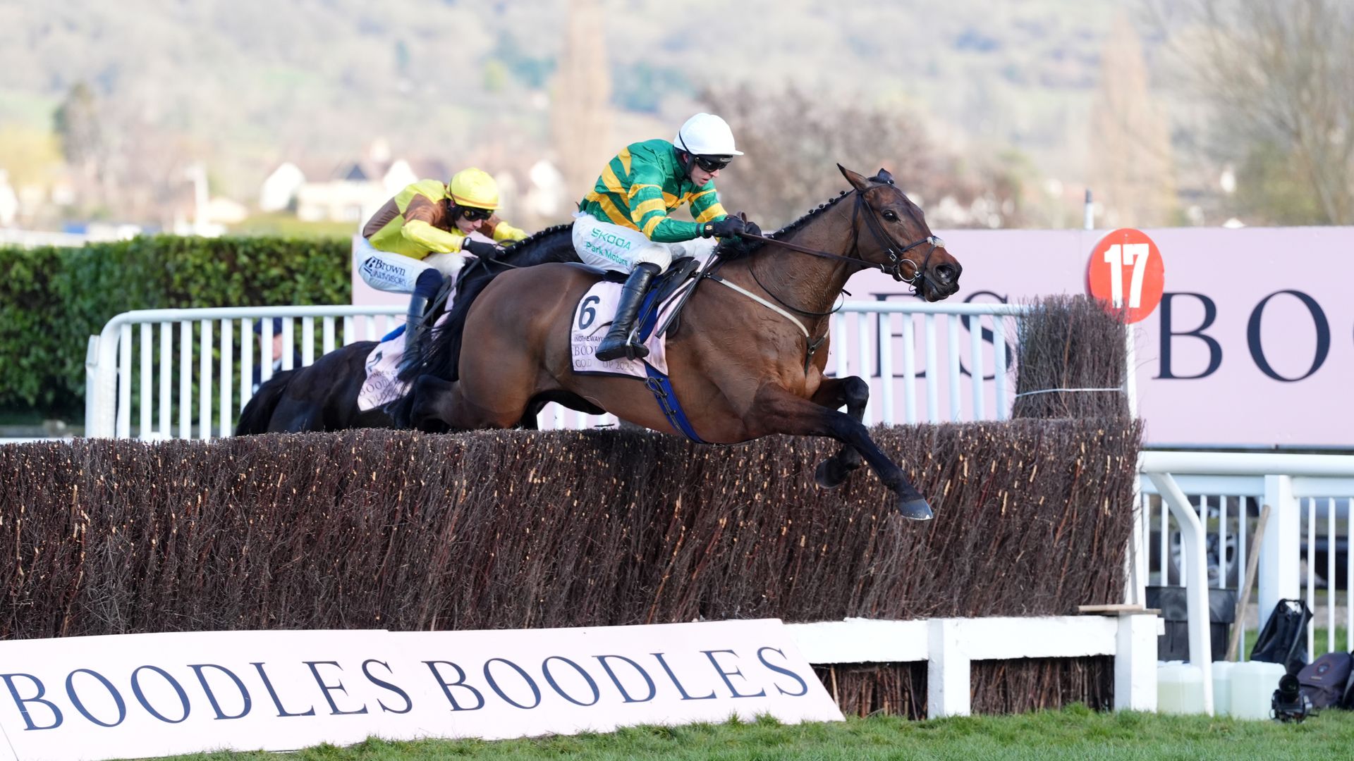 Grand National: Cheltenham Gold Cup winner Inothewayurthinkin ruled out of Aintree bid