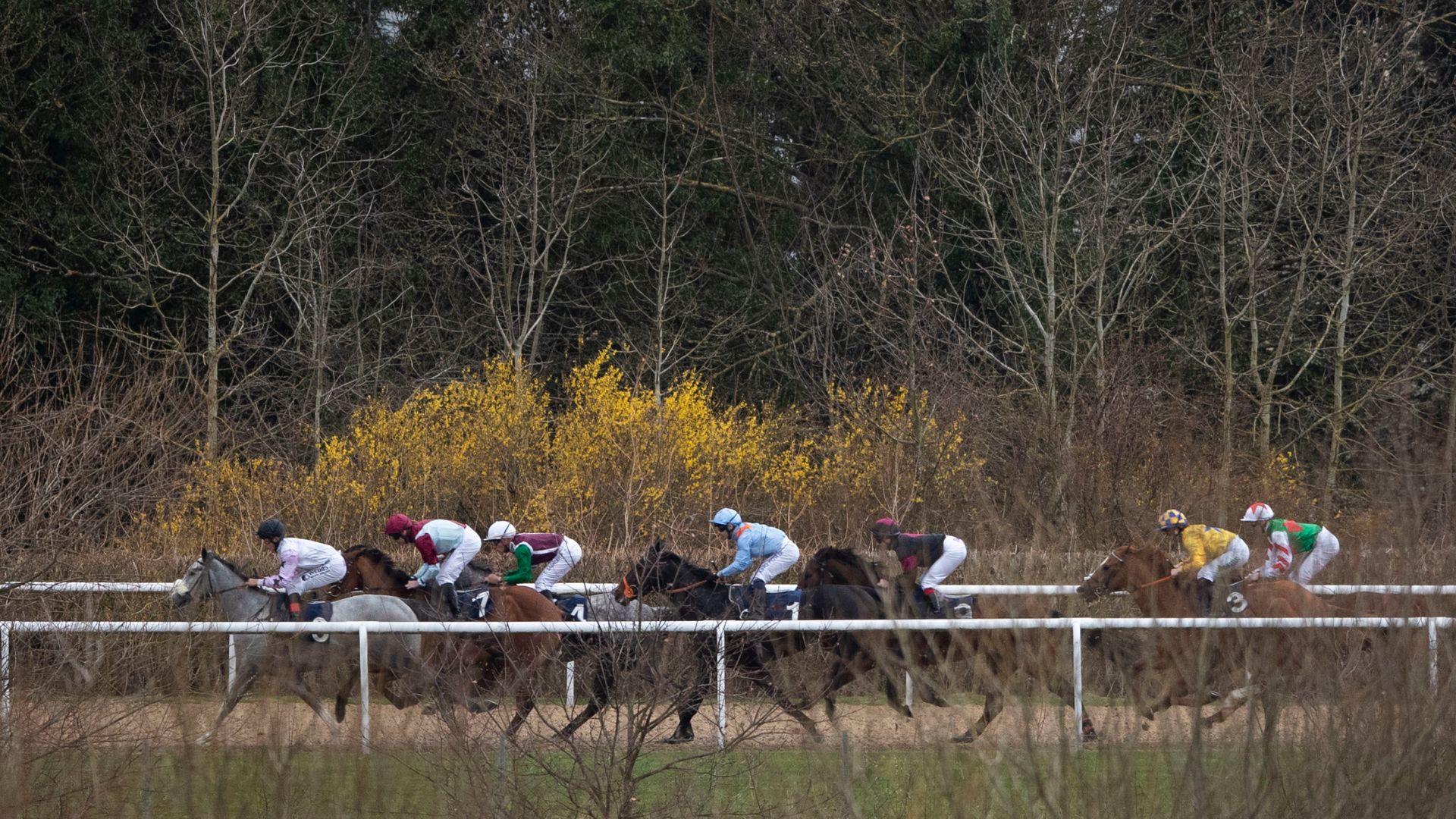 Today on Sky Sports Racing: Al Shabab Storm faces Jabaara in Lady Wulfruna feature from Wolverhampton