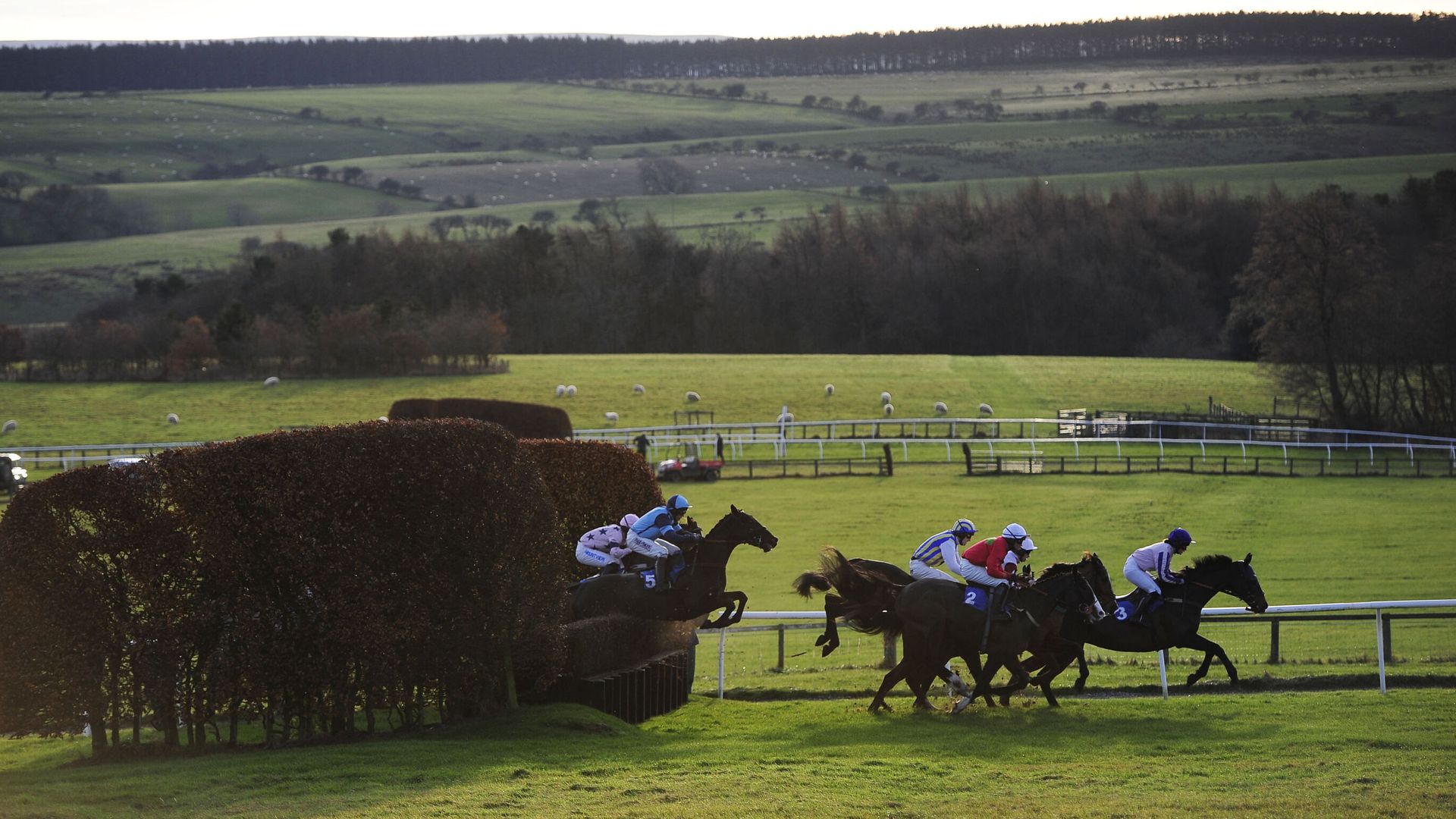 Today on Sky Sports Racing: Hexham and Newcastle host competitive cards on Thursday