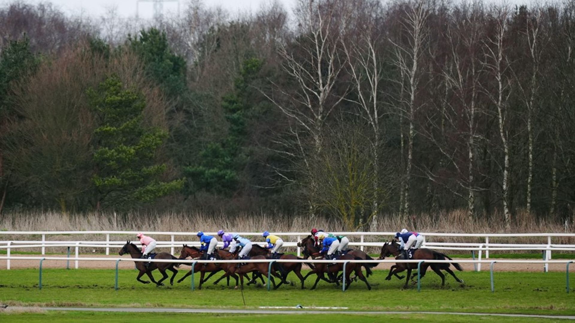 Today on Sky Sports Racing: Southwell, Newcastle and Wolverhampton host competitive action